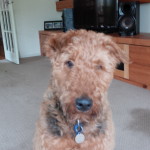 Tilly for P M Election promise - oxytocin for everyone