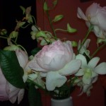 Just enjoying something beautiful can restore our confidence after a disappointment